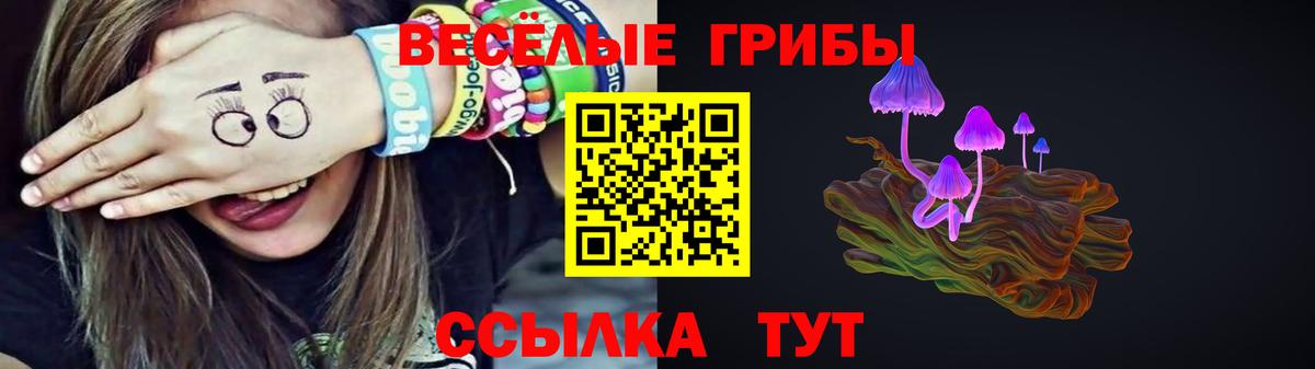 Псилоцибиновые грибы Cubensis Амурск